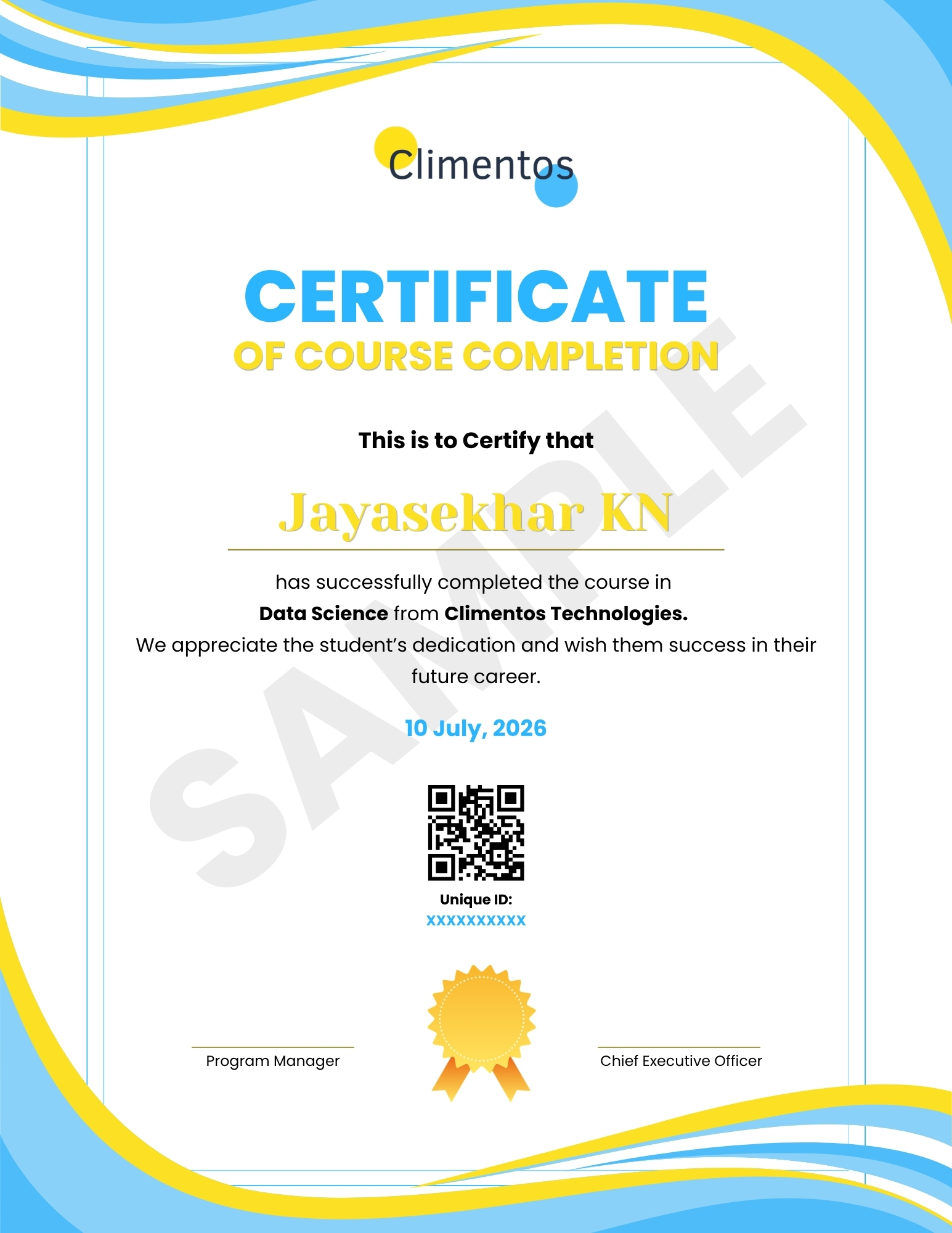 Professional Certificate